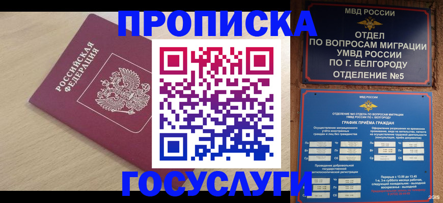 прописка законно в Невеле