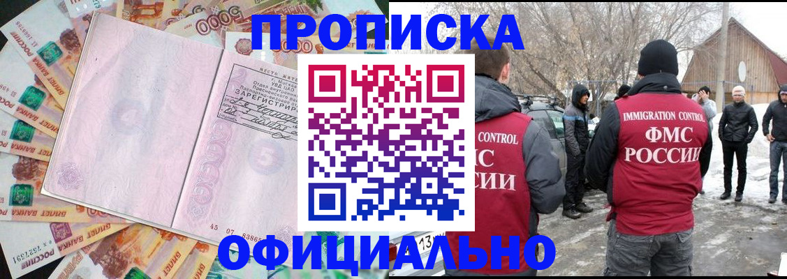 прописка поиск в Невеле